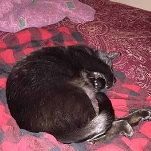 Meet your Posher, Brad